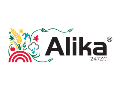 Brand Banner Alika