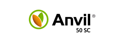 Brand Logo Anvil