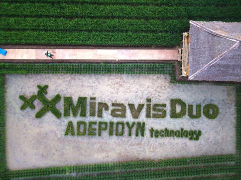 Launching MIRAVIS Duo® padi Karawang