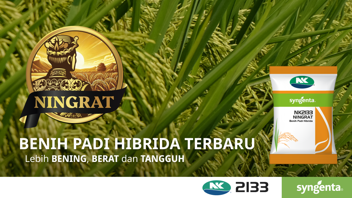 Benih Hibrida banner