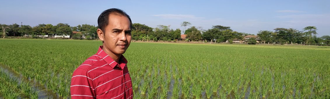 Petani padi di Indonesia