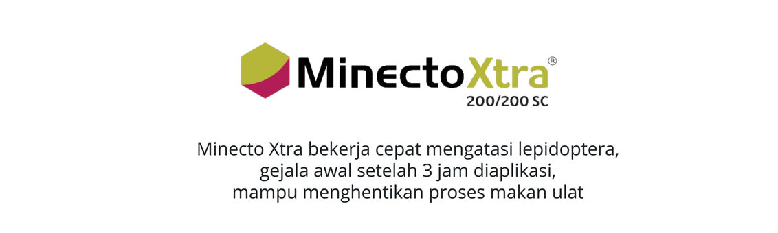 MinectoXtra