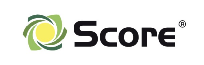 Brand Logo Score