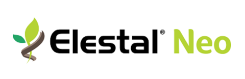 Brand Logo Elestal Neo
