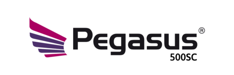 Brand Logo Pegasus