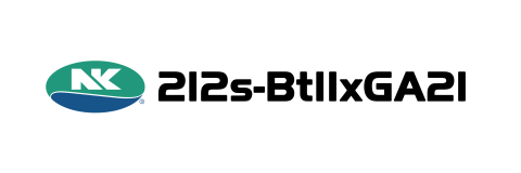 NK Pnedekar Sakti