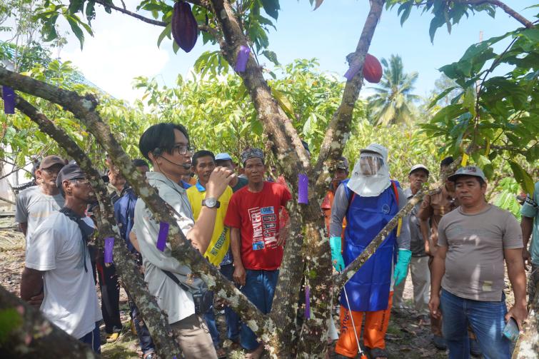 STW in Kolaka.jpg