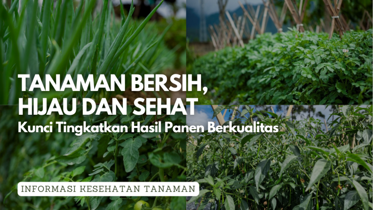 Tanaman Bersih, Hijau dan Sehat dengan Miravis Duo