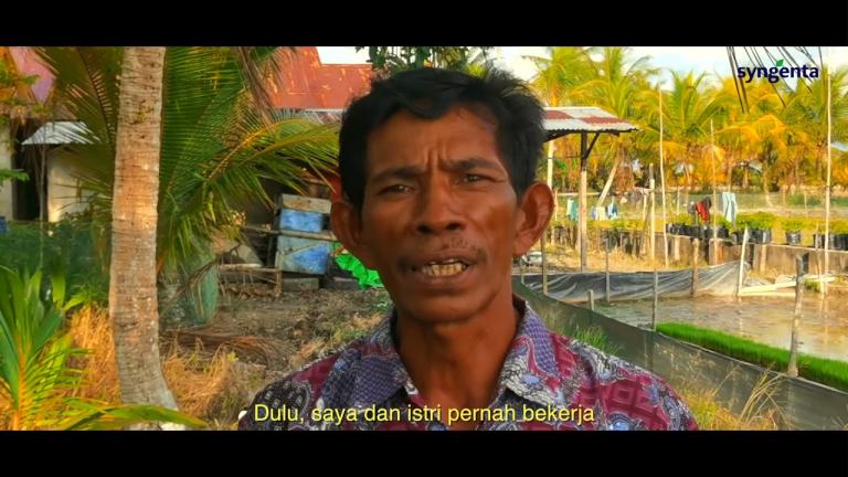 Syngenta Mendukung Petani Hebat di Kawasan Perbatasan