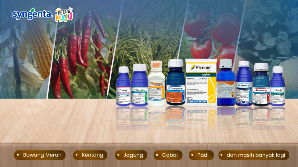 Deretan botol obat dan suplemen di meja, berlatar rempah dan bahan herbal.