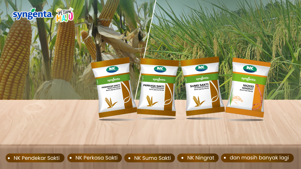 Grafis pupuk organik cair dengan kemasan produk di depan sawah hijau dan jagung