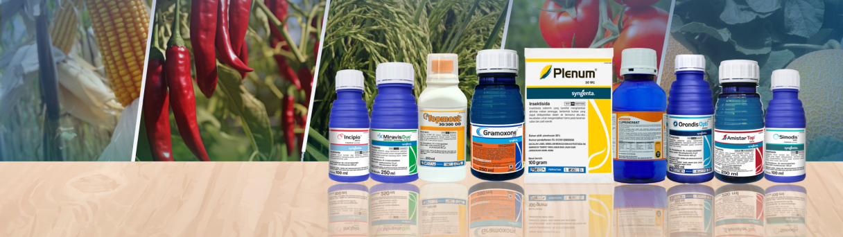Deretan botol obat dan suplemen di meja, berlatar rempah dan bahan herbal.