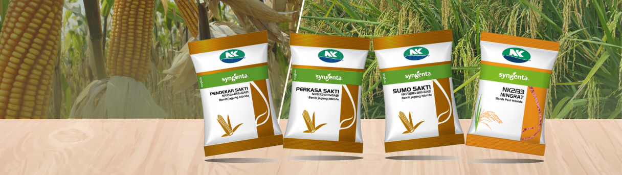 Grafis pupuk organik cair dengan kemasan produk di depan sawah hijau dan jagung