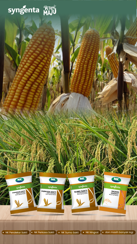 Grafis 3D jagung di ladang dengan tiga sachet produk di bagian bawah