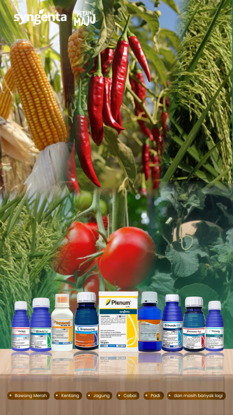 Jagung, cabai merah, dan tomat; deretan botol pupuk di bagian bawah.
