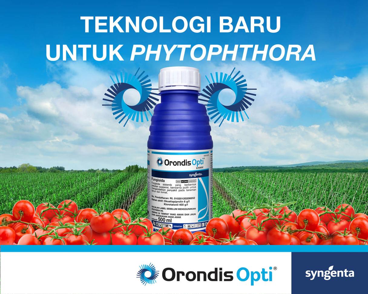 Demoboard Orondis Opti