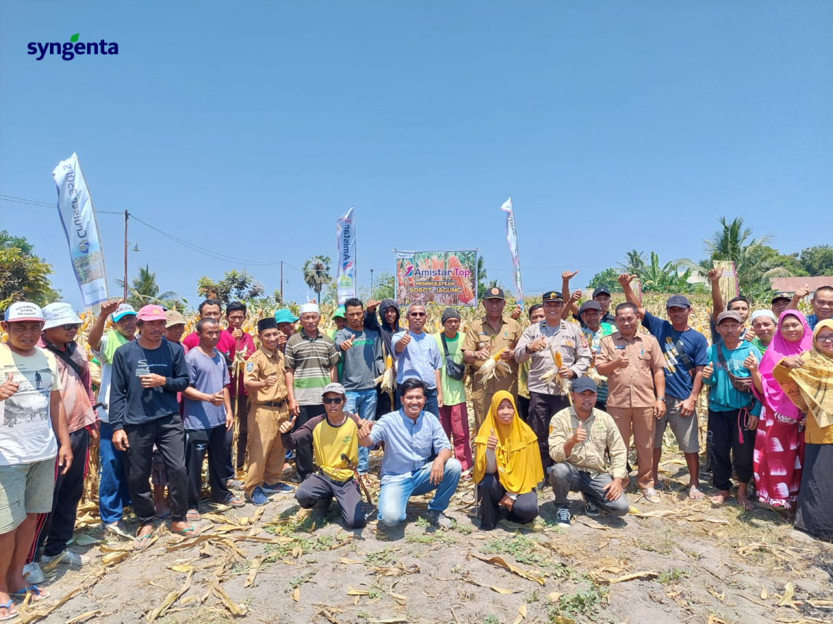 jagung-jagung.png