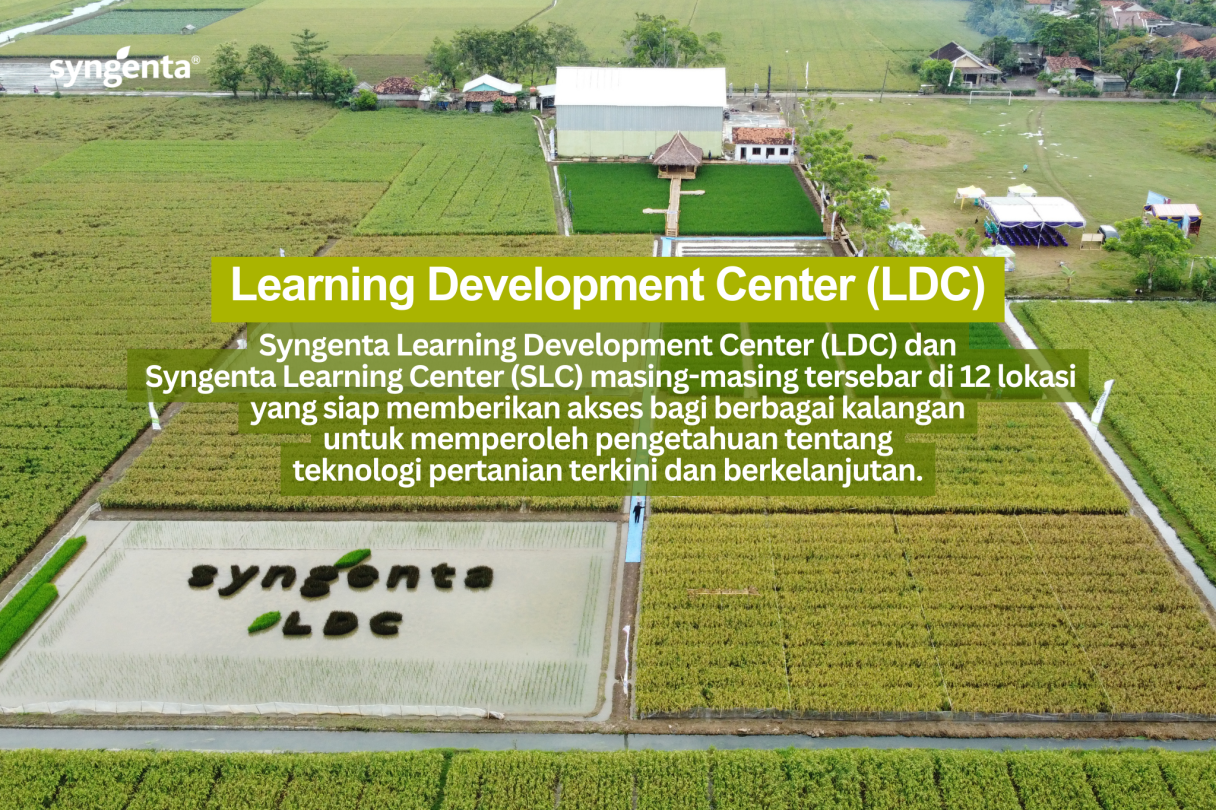 ldc.png
