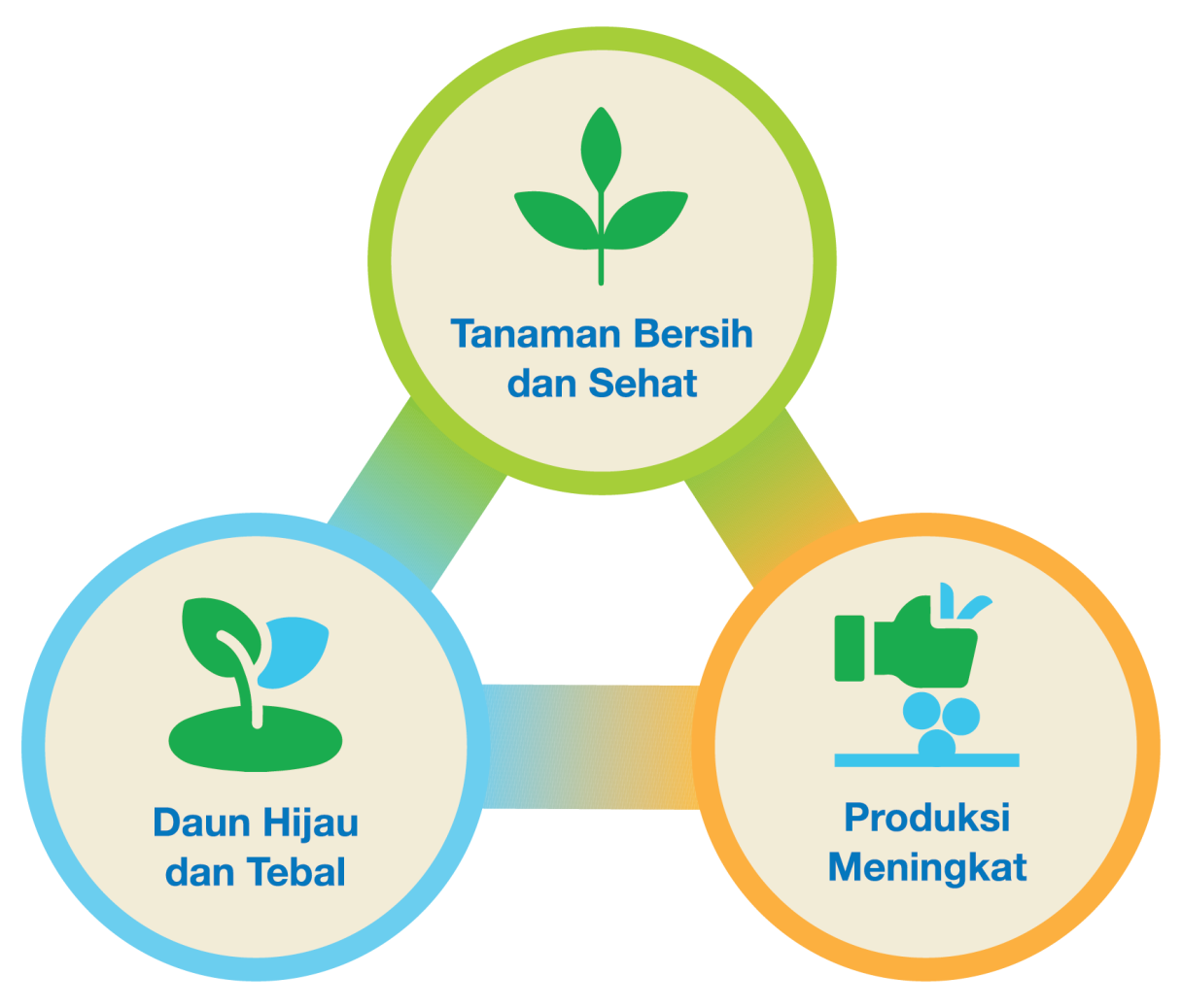 3 Keunggulan Miravis Duo
