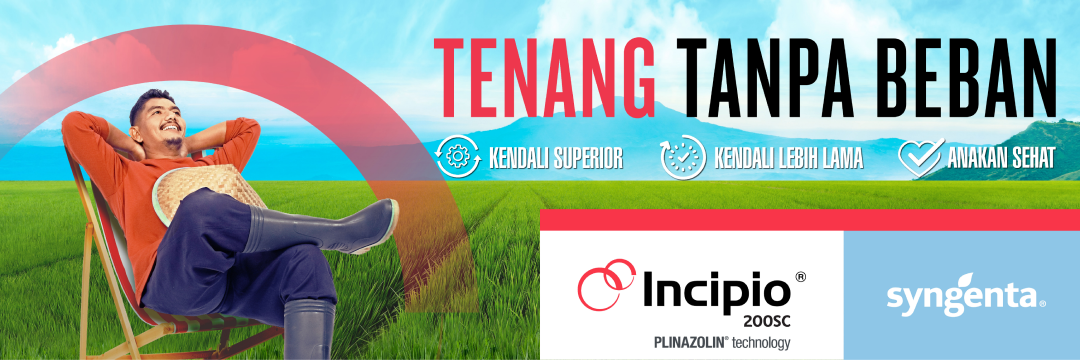 Petani sedang santai, Tenang Tanpa Beban, Incpio