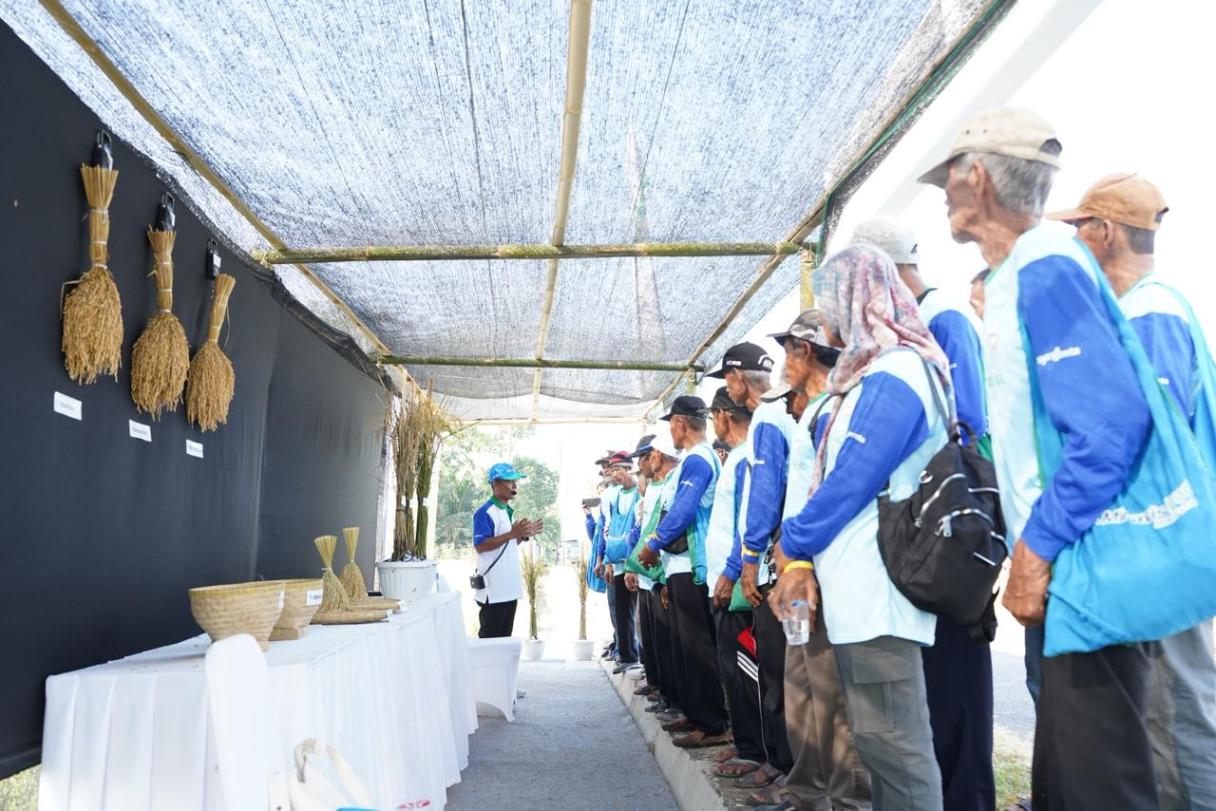 Launching MIRAVIS Duo® untuk padi