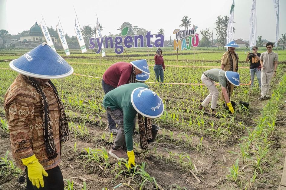 Syngenta x TerraBaru: Biochar