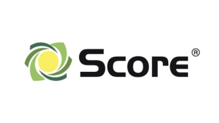 Brand Logo Score