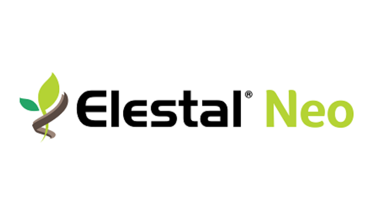 Brand Logo Elestal Neo