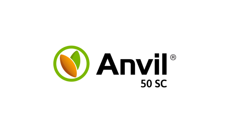 Brand Logo Anvil
