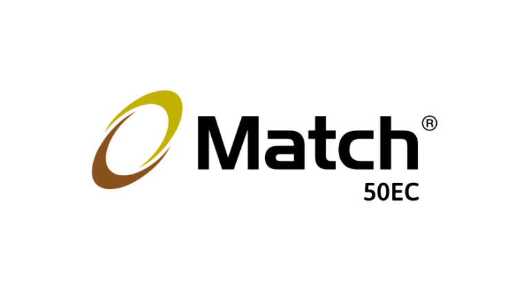 Brand Logo Match