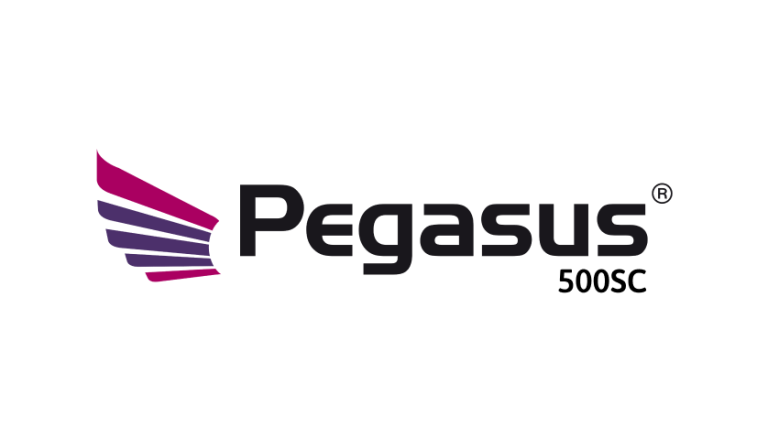 Brand Logo Pegasus